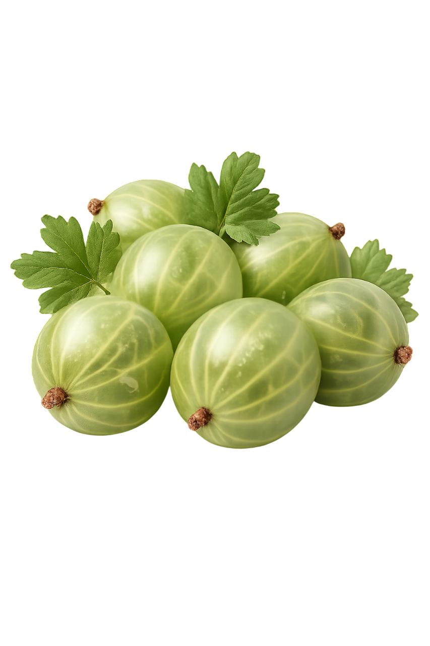 gooseberry