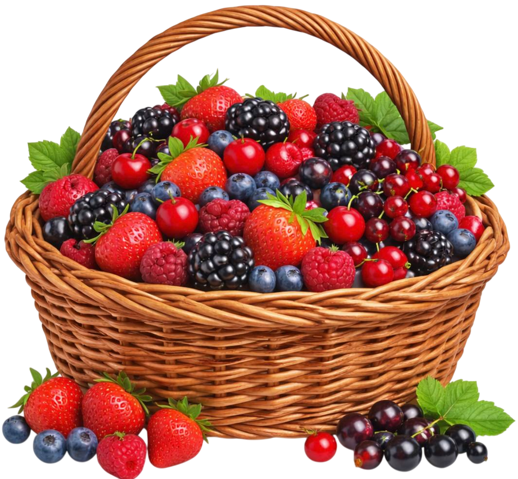 berries