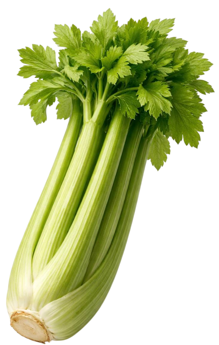 celery