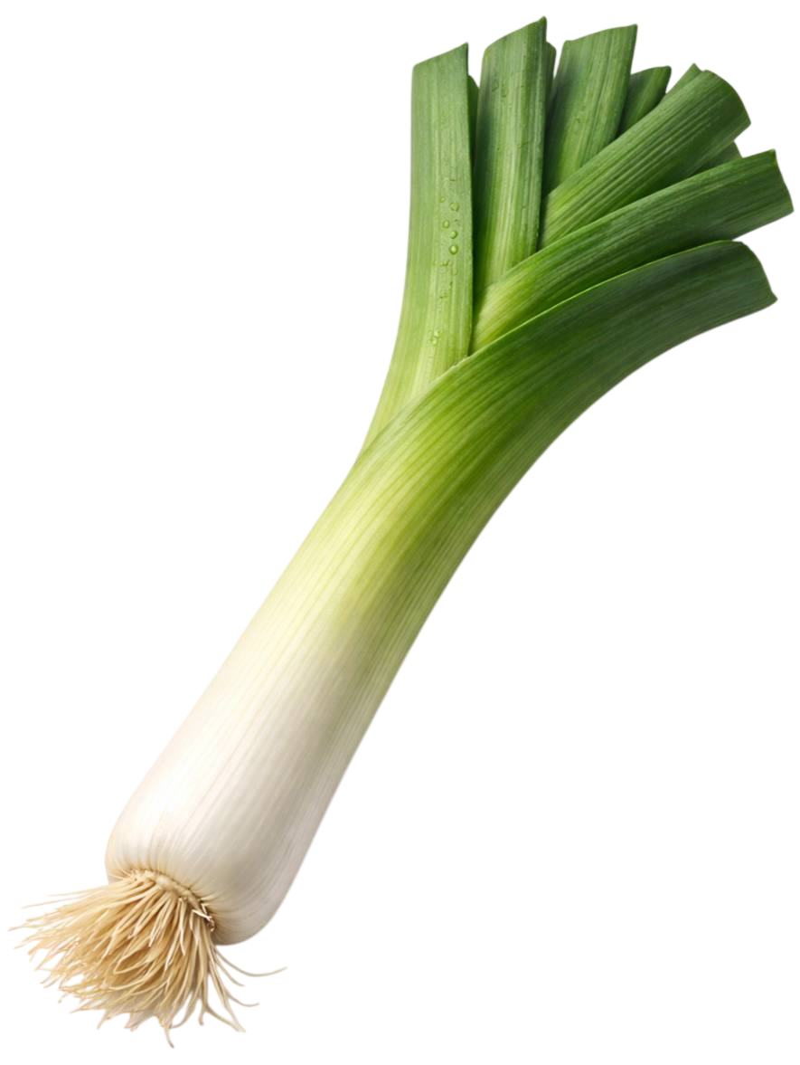 leek