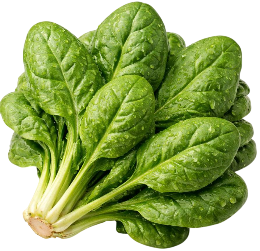 spinach