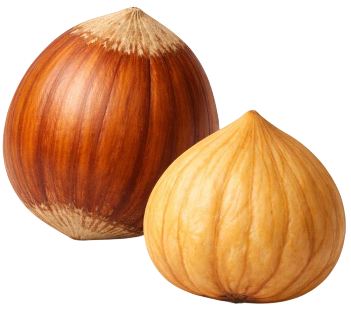 hazelnut