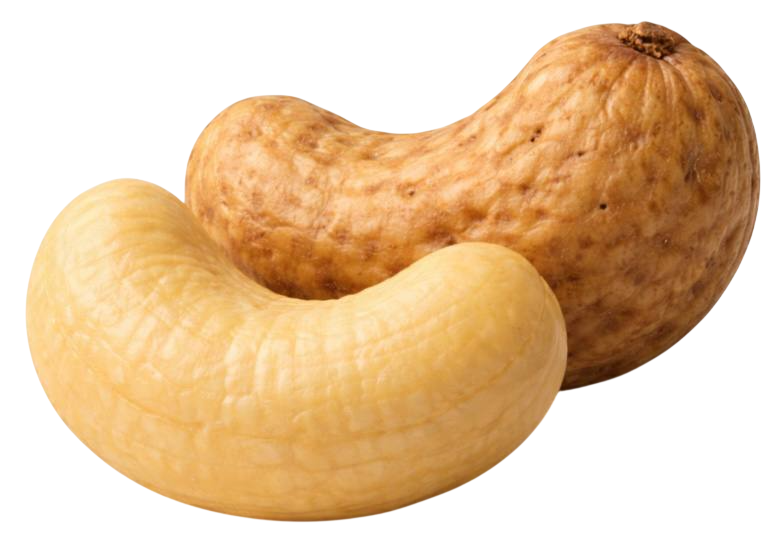 cashew