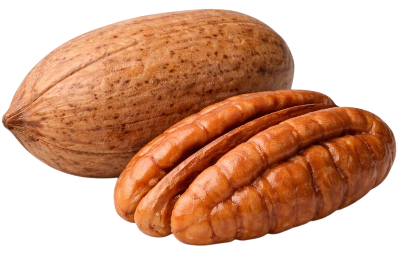 pecan