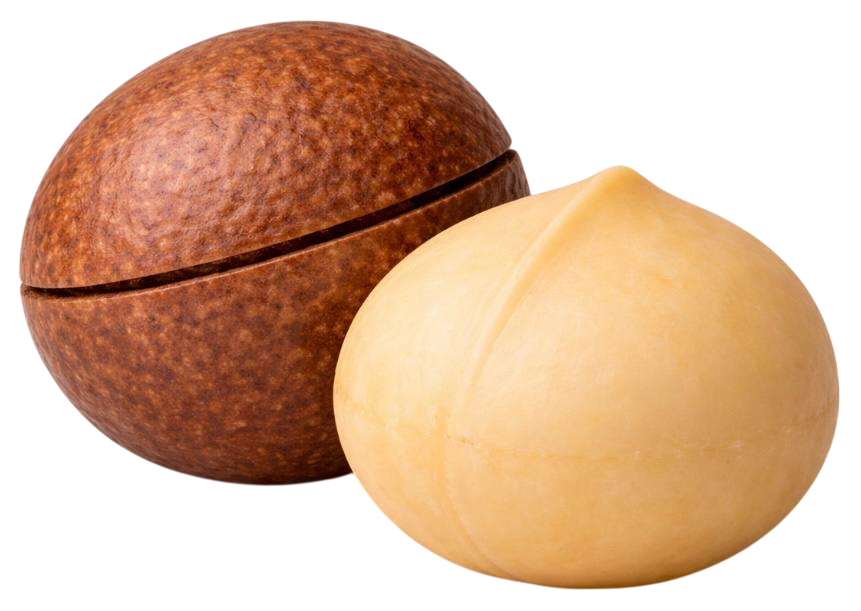 macadamia