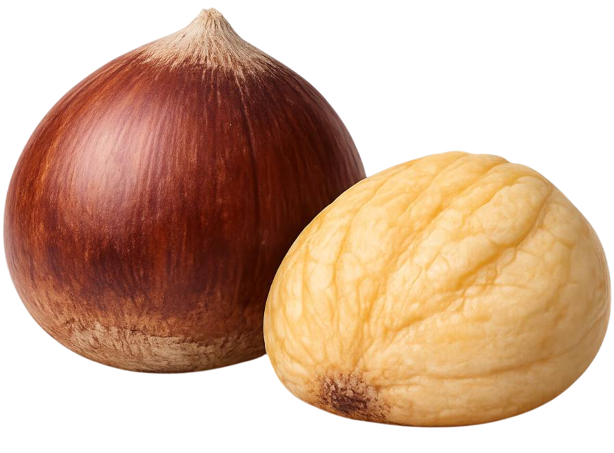 chesnut