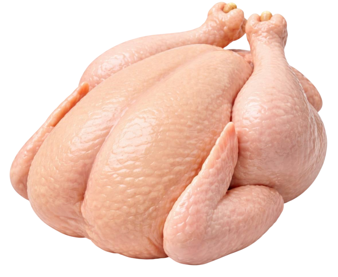 chicken