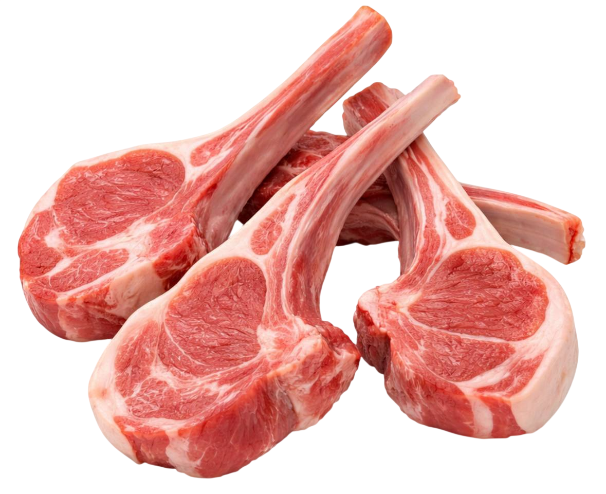 lamb