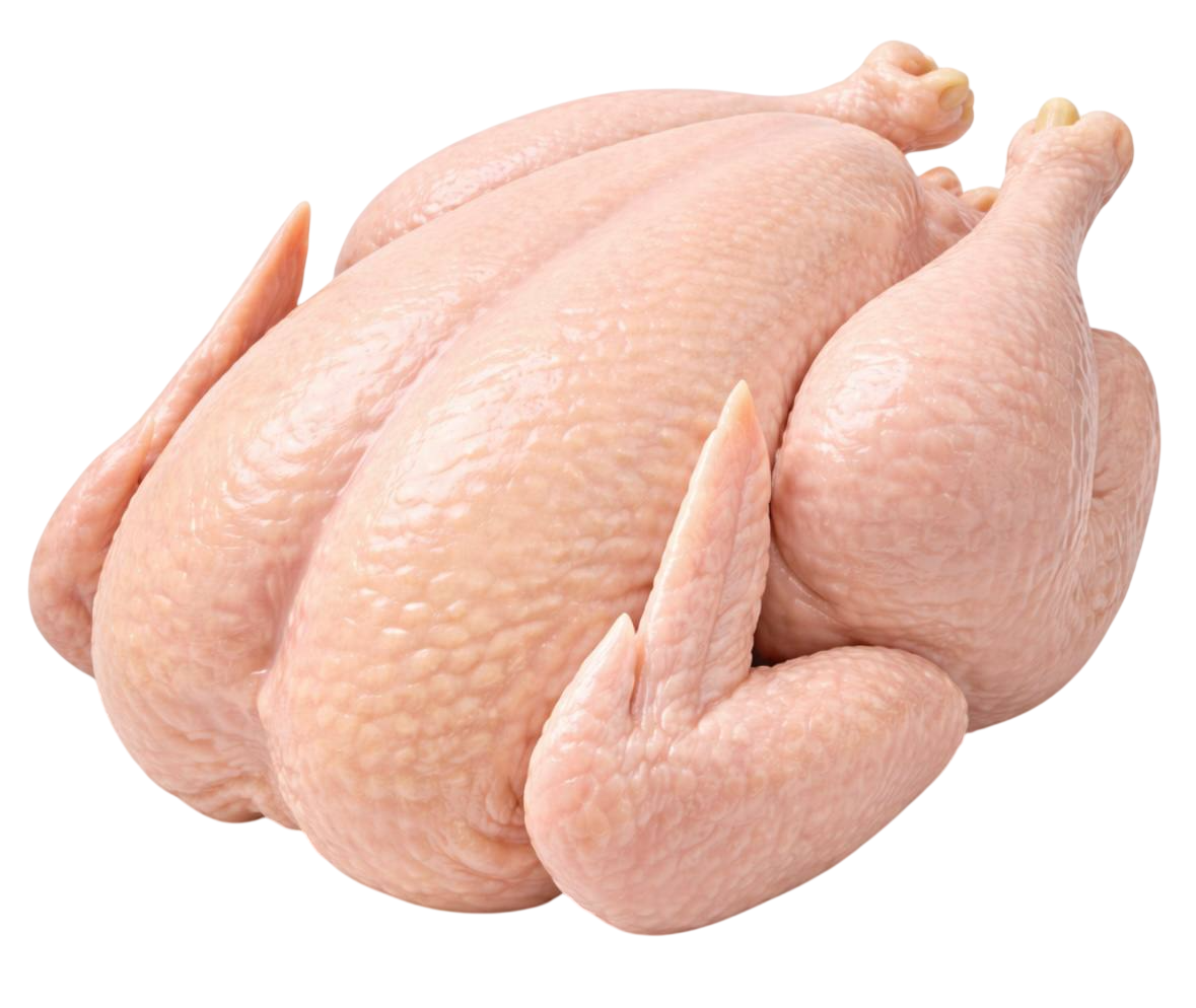 turkey