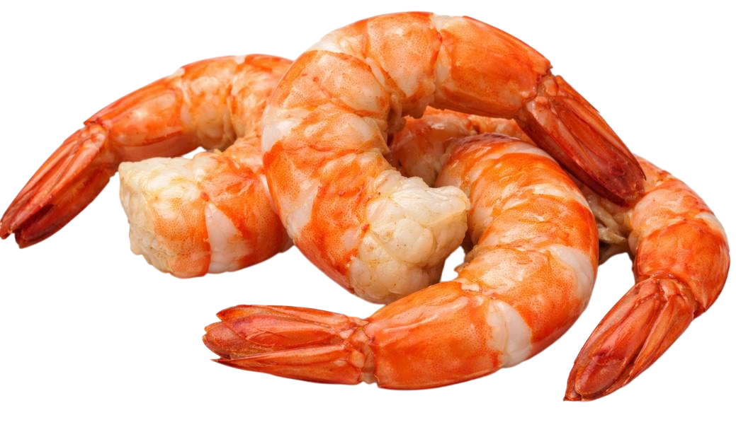 shrimps