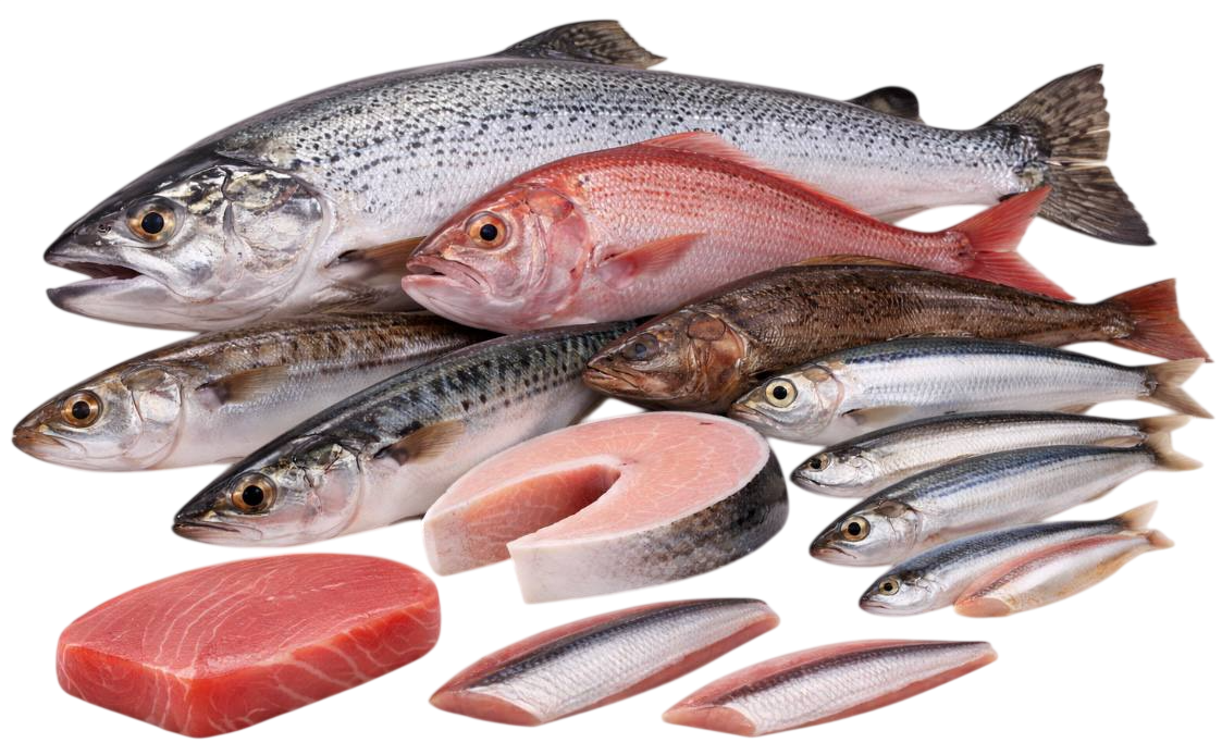 fish