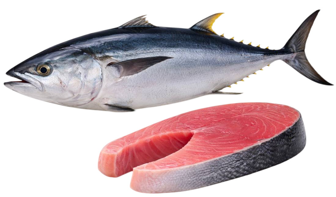 tuna