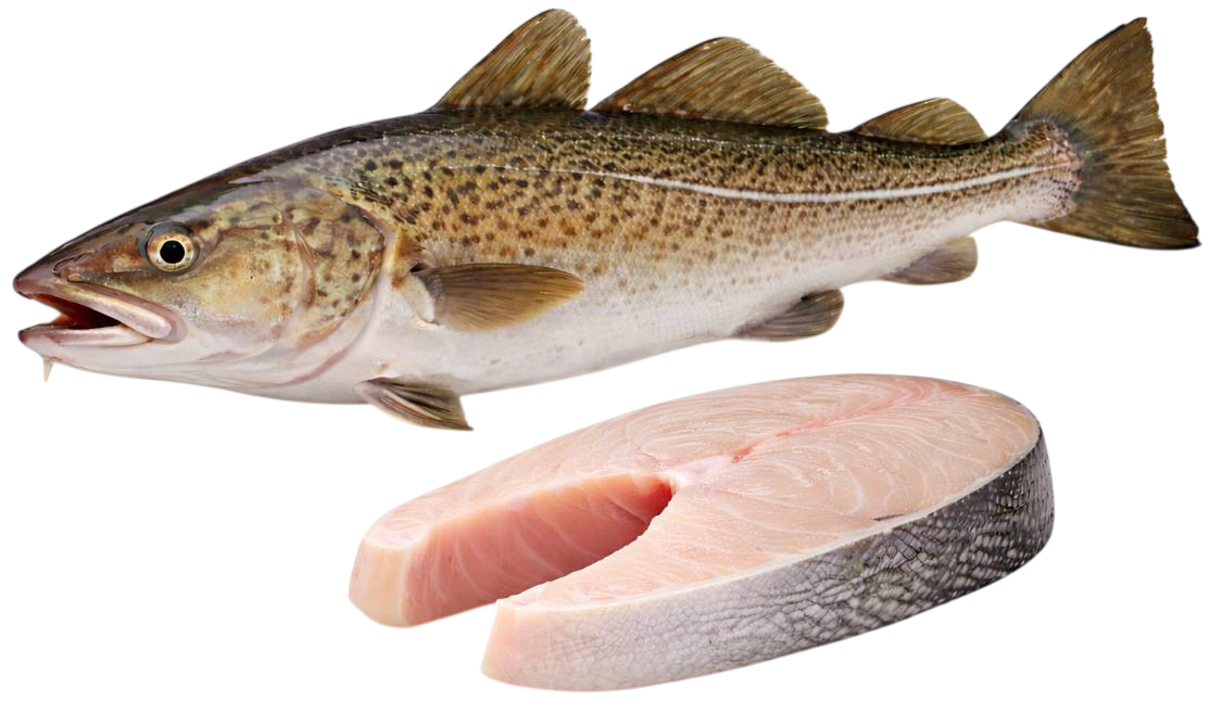 cod