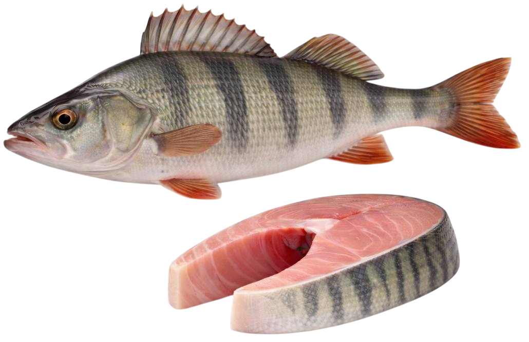 perch