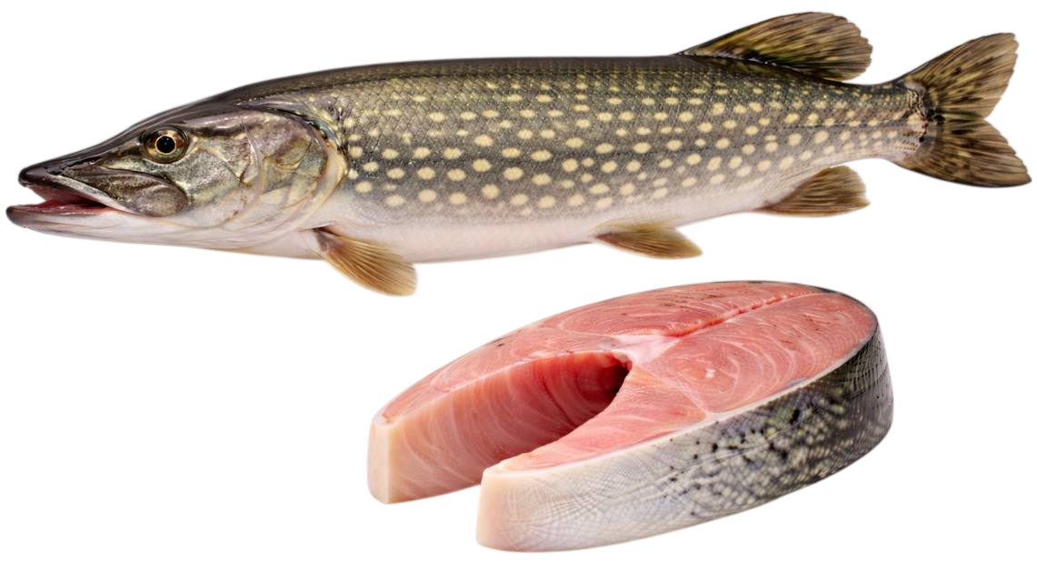 pike