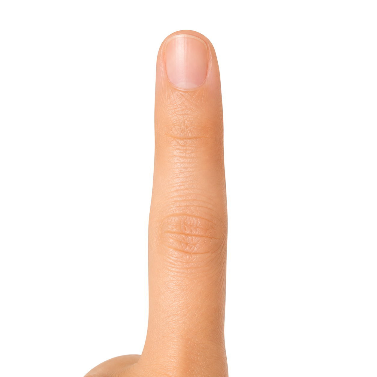finger