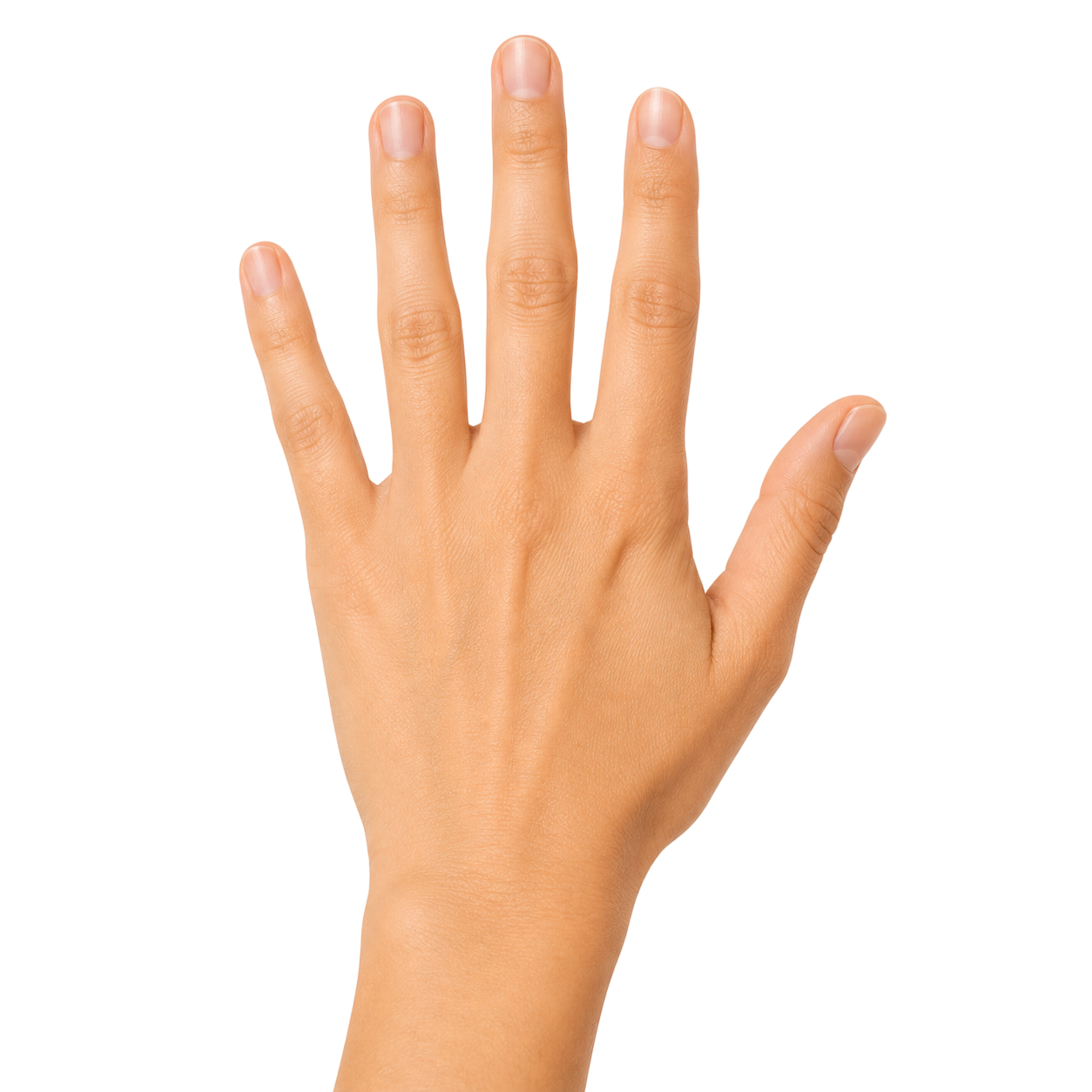 hand