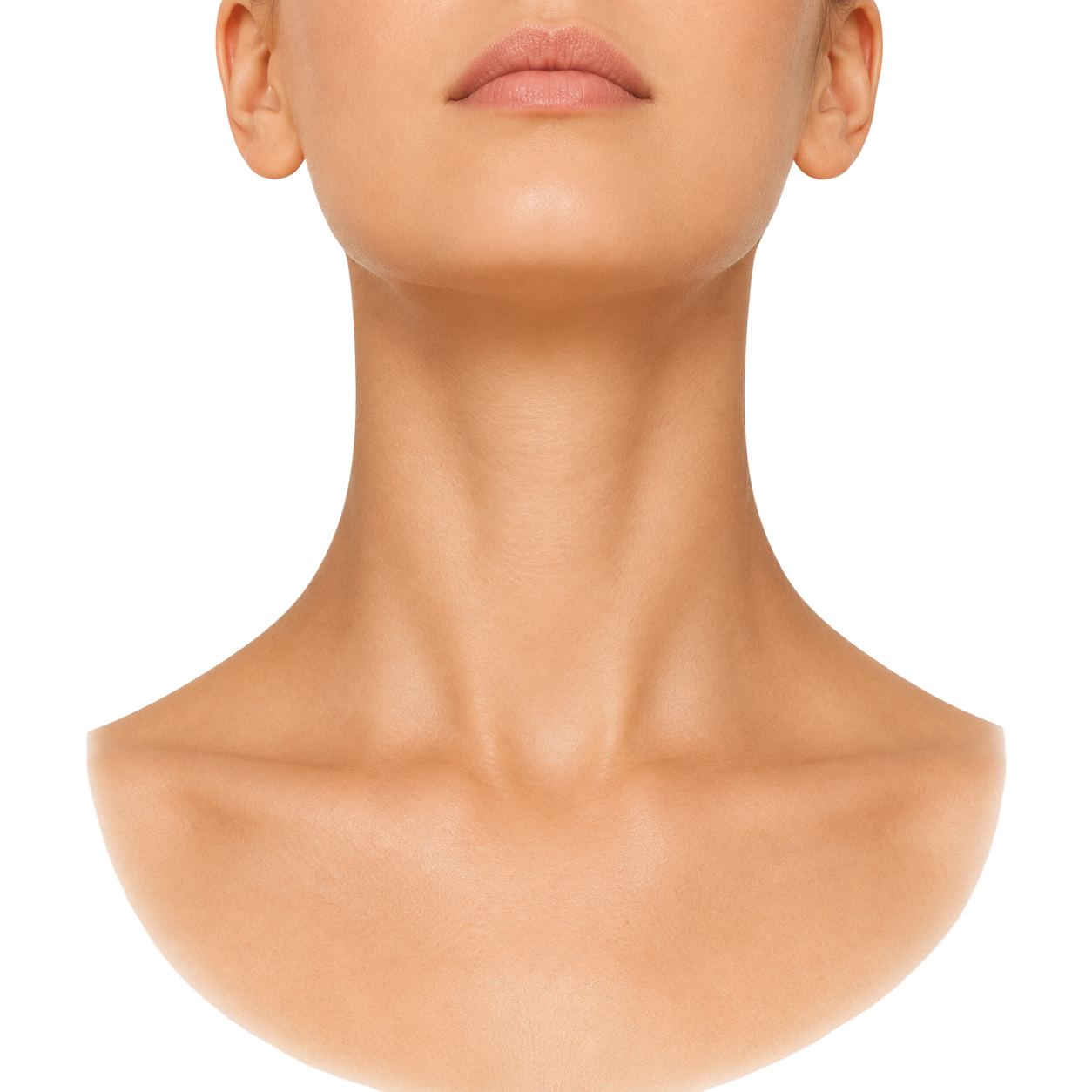 neck