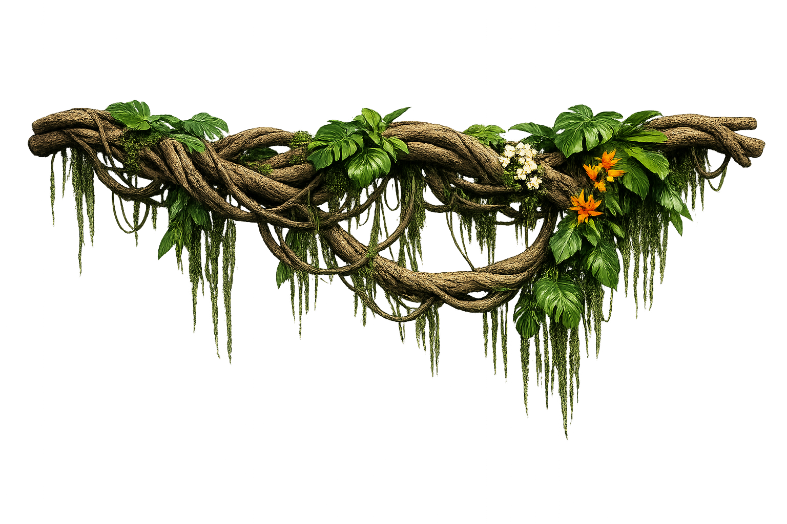 vine