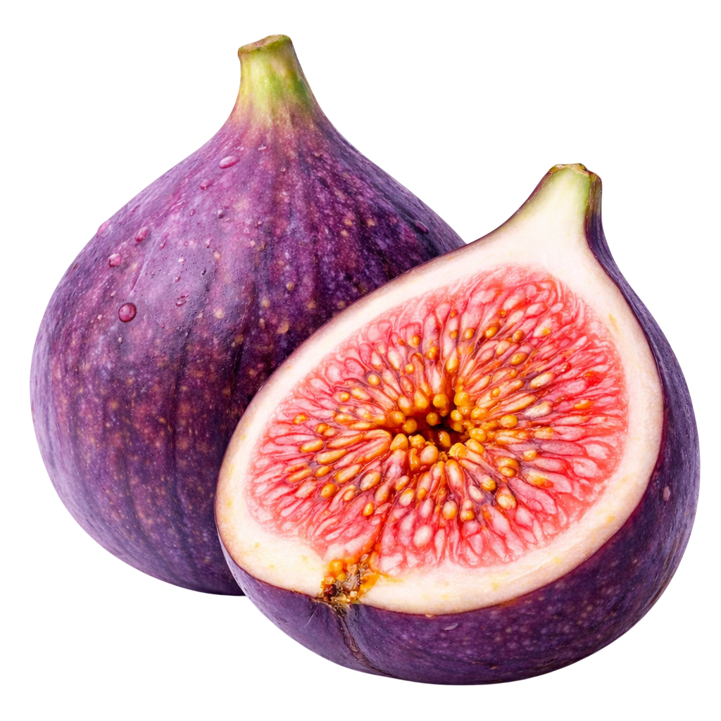 fig