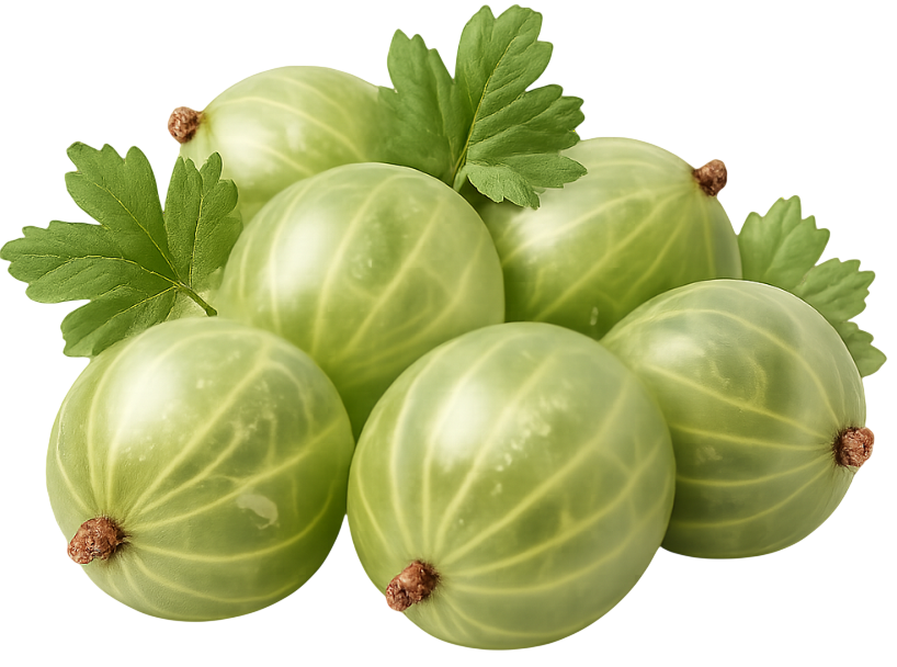 gooseberry