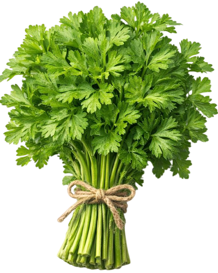 parsley