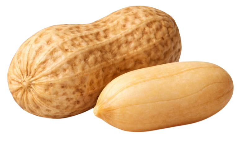 peanut
