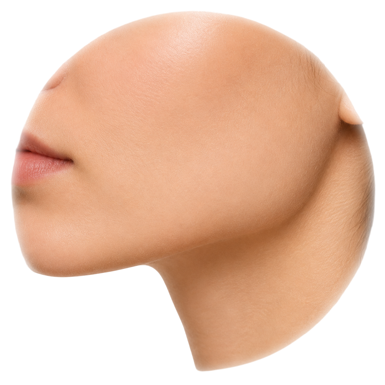 jaw