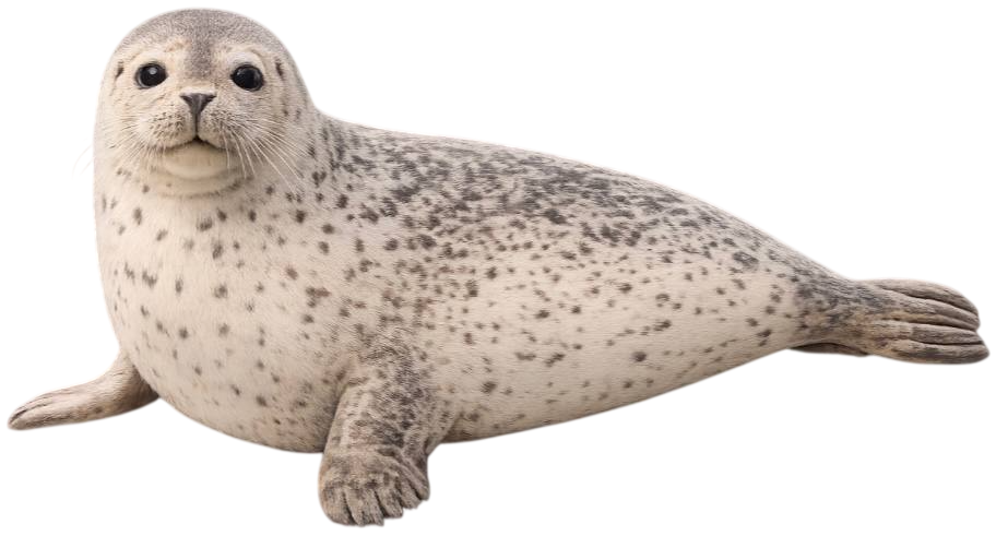 seal